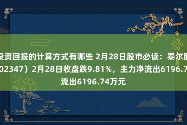 投资回报的计算方式有哪些 2月28日股市必读：泰尔股份（002347）2月28日收盘跌9.81%，主力净流出6196.74万元