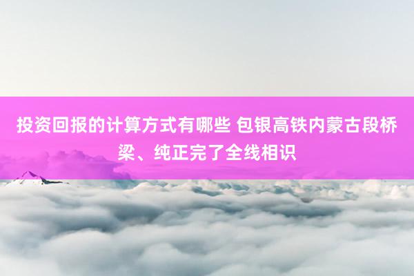 投资回报的计算方式有哪些 包银高铁内蒙古段桥梁、纯正完了全线相识