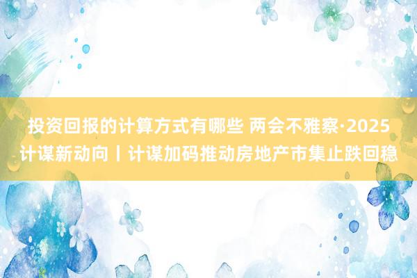 投资回报的计算方式有哪些 两会不雅察·2025计谋新动向丨计谋加码推动房地产市集止跌回稳