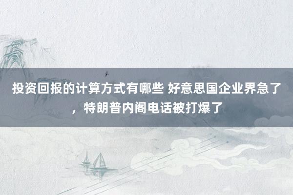 投资回报的计算方式有哪些 好意思国企业界急了，特朗普内阁电话被打爆了