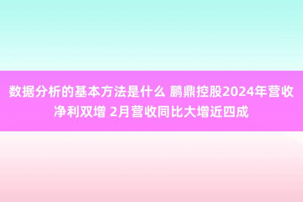 数据分析的基本方法是什么 鹏鼎控股2024年营收净利双增 2月营收同比大增近四成