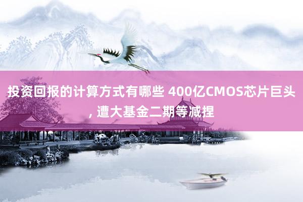 投资回报的计算方式有哪些 400亿CMOS芯片巨头, 遭大基金二期等减捏