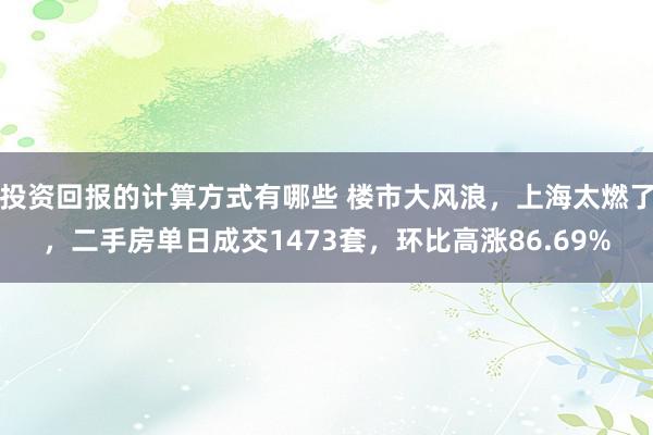 投资回报的计算方式有哪些 楼市大风浪，上海太燃了，二手房单日成交1473套，环比高涨86.69%