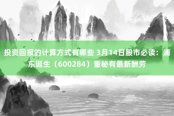 投资回报的计算方式有哪些 3月14日股市必读：浦东诞生（600284）董秘有最新酬劳